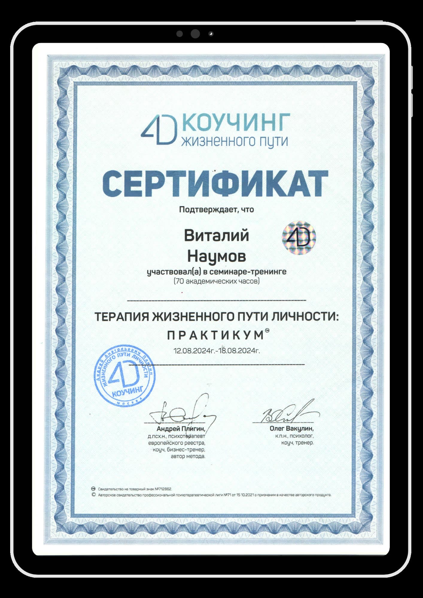 Сертификат дополнительной подготовки 12